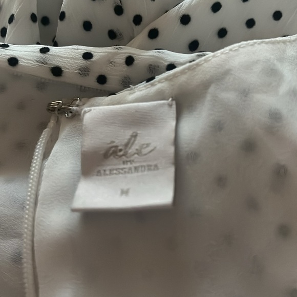 Ale by Alessandra Taura Maxi Polka Dot Deep V Neck Dress - Picture 10 of 10